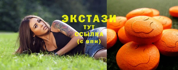 ECSTASY Гусь-Хрустальный