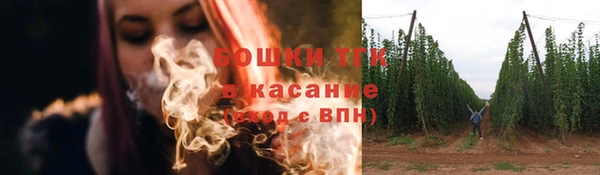 винт Гусиноозёрск