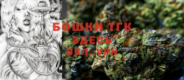 ECSTASY Гусь-Хрустальный