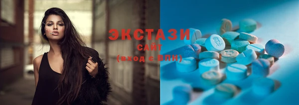 ECSTASY Гусь-Хрустальный