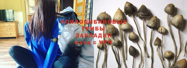 винт Гусиноозёрск